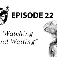 Episode 22: Watching and Waiting