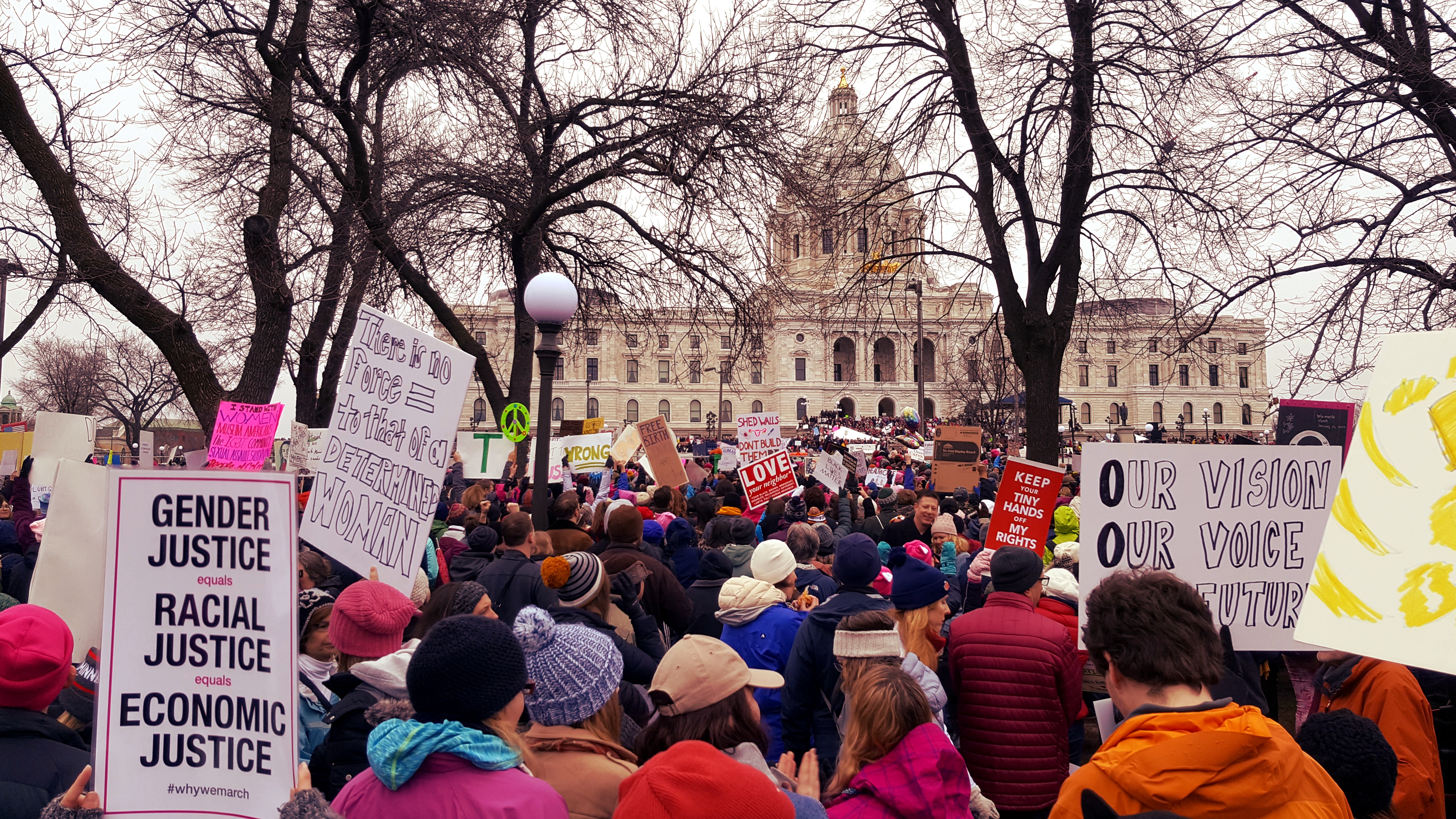 Women's March on Washington: MN - Our Vision, Our Voice, Our Future